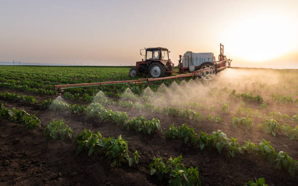 Best Insect Control  in Bowling Green, KY